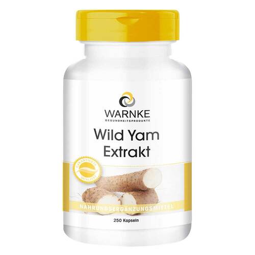 Wild Yam Extrakt Kapseln - 1