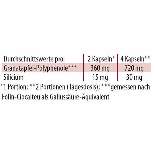 Granaprostan ferment Dr. Jacob`s Kapseln - 4