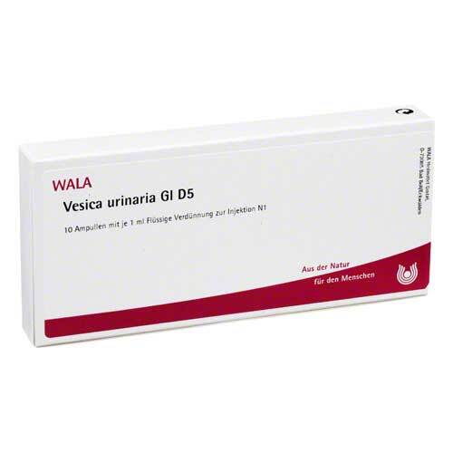 Vesica Urinaria GL D 5 Ampullen - 1