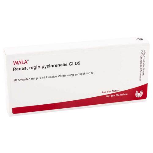 Renes Regio Pyelorenal GL D 5 Ampullen - 1