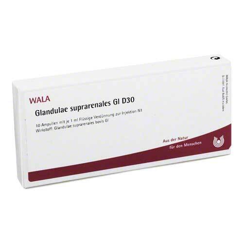 Glandulae suprarenalis GL D 30 Ampullen - 1