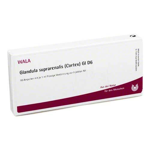 Glandula suprarenalis cortex GL D 6 Ampullen - 1