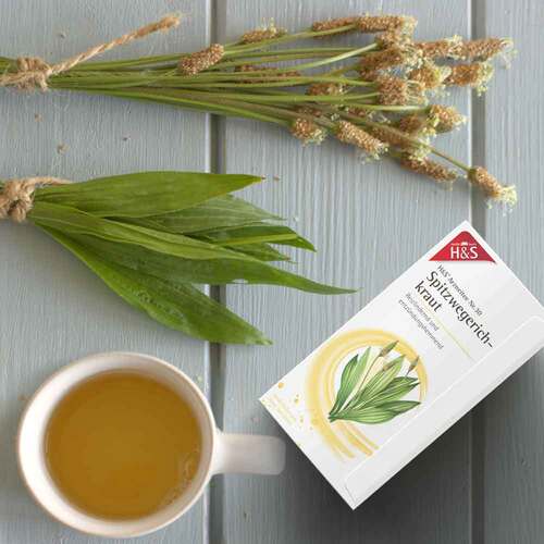 H&S Spitzwegerichkraut Filterbeutel - 3