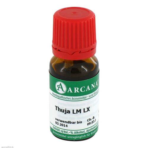 Thuja Arcana LM 60 Dilution - 1