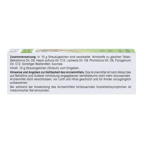 ReVet H 11 vet. Globuli - 3