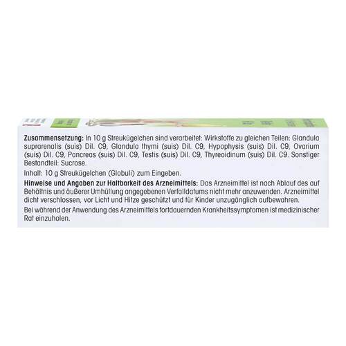 ReVet H 13 vet. Globuli - 3