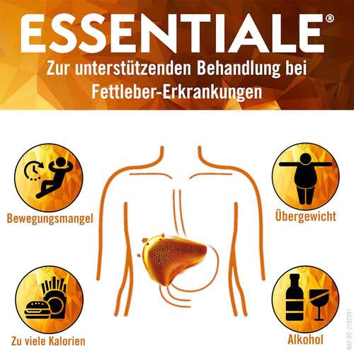 ESSENTIALE® unterst&uuml;tzende Behandlung bei Fettleber - 2