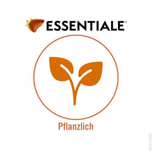 ESSENTIALE® KAPSEL 300 mg - 4