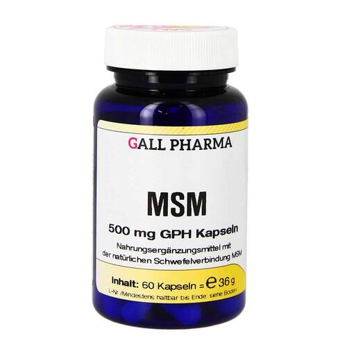 MSM 500 mg GPH Kapseln - 1