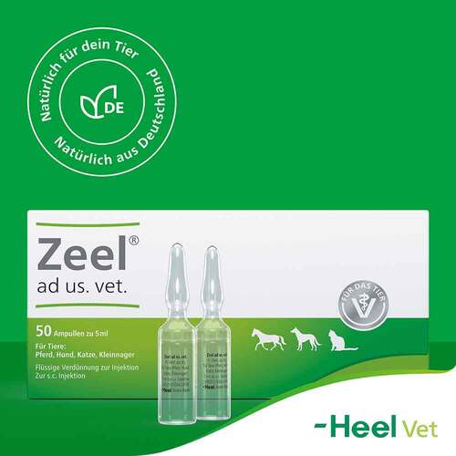 Zeel Ampullen vet. (f&uuml;r Tiere) - 8