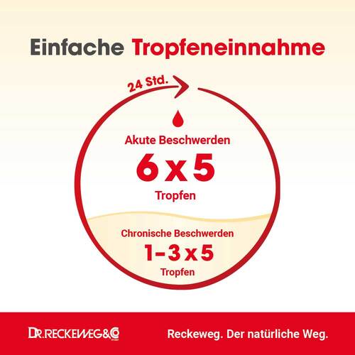 Haemorrhoid-Gastreu N R13 Tropfen zum Einnehmen - 4