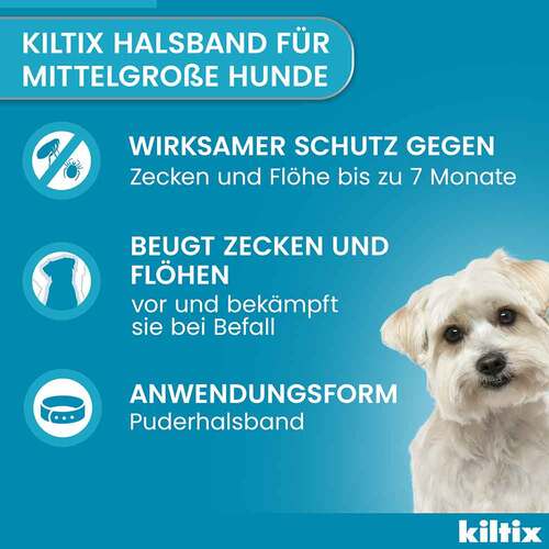 Kiltix f&uuml;r mittelgro&szlig;e Hunde Halsband - 4
