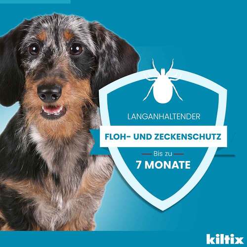 Kiltix f&uuml;r mittelgro&szlig;e Hunde Halsband - 5