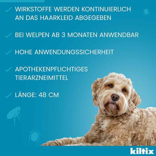 Kiltix f&uuml;r mittelgro&szlig;e Hunde Halsband - 6