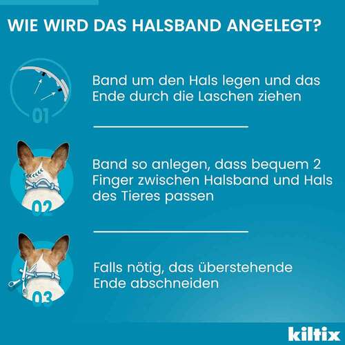 Kiltix f&uuml;r mittelgro&szlig;e Hunde Halsband - 7
