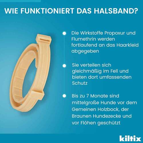Kiltix f&uuml;r mittelgro&szlig;e Hunde Halsband - 8