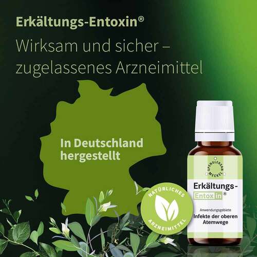 Erk&auml;ltungs Entoxin Tropfen - 4