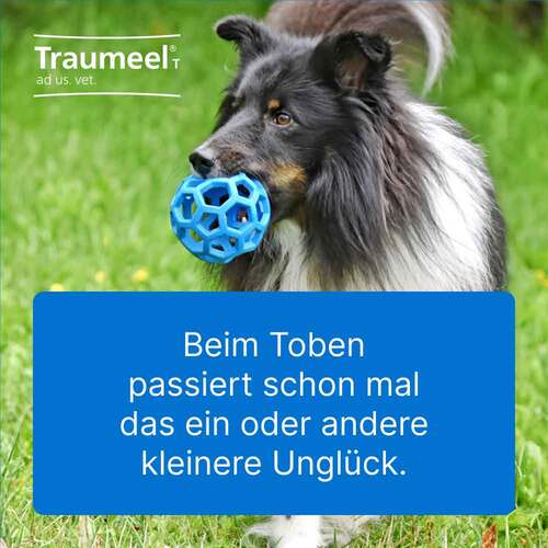 Traumeel® T – Tabletten f&uuml;r Hund und Katze - 2