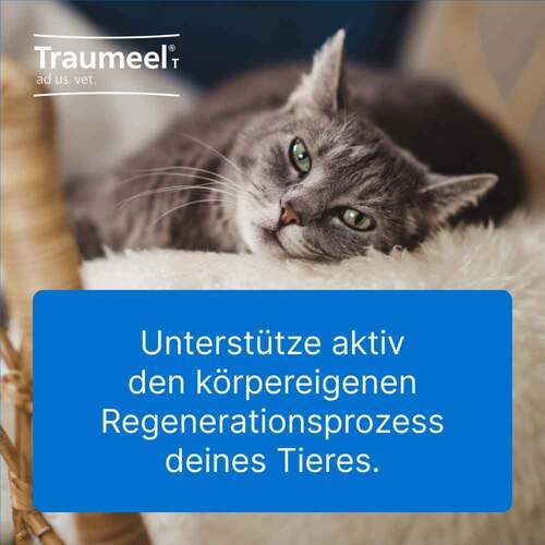 Traumeel® T – Tabletten f&uuml;r Hund und Katze - 3