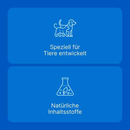 Traumeel® T – Tabletten f&uuml;r Hund und Katze - 5