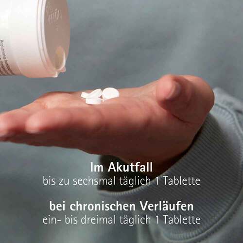 Biochemie Pflüger 4 Kalium chloratum D 6 Tabletten - 3