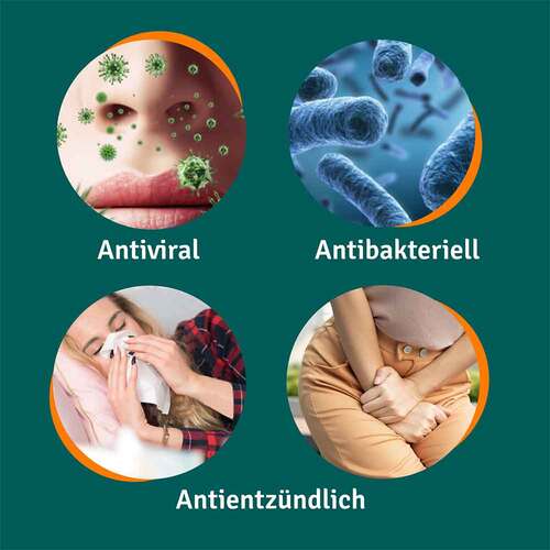 ANGOCIN Anti-Infekt N Filmtabletten - 4