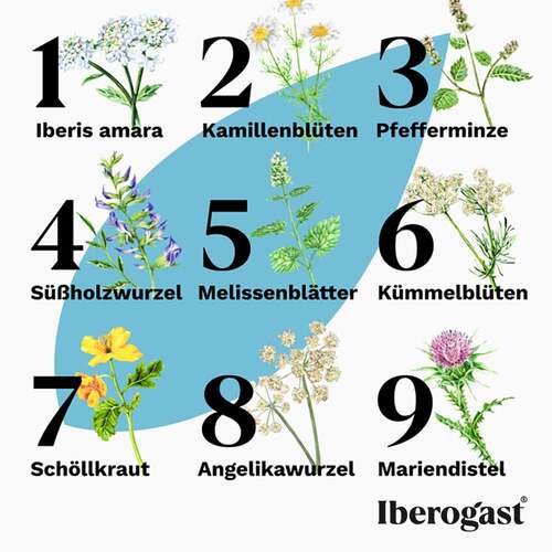 IBEROGAST Classic - 5