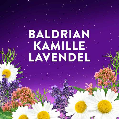 WICK Zzzquil Gute Nacht Intens  - 2