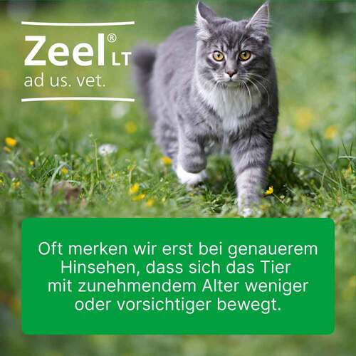 Zeel LT ad us. vet. Tabletten - 3