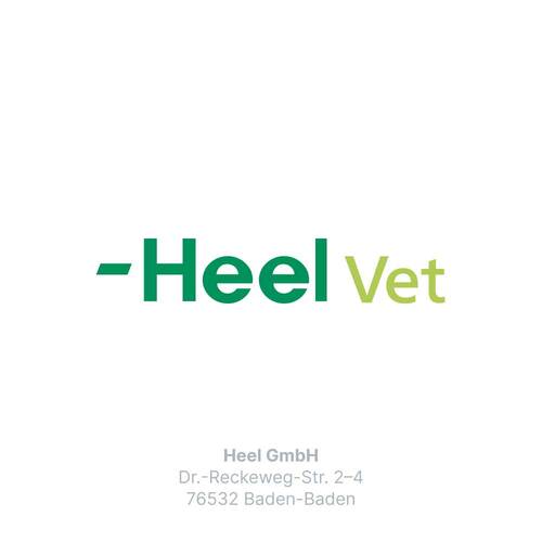 Traumeel T ad us. vet. Tabletten f&uuml;r Hund und Katze - 6
