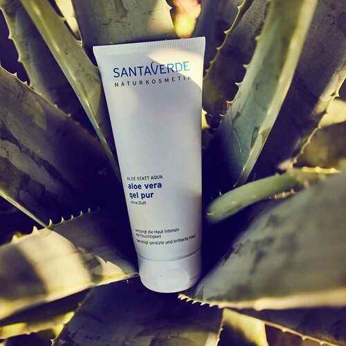 Aloe Vera Gel pur ohne Duft - 4