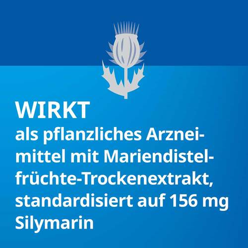 Silymarin STADA 156 mg Hartkapseln - 4