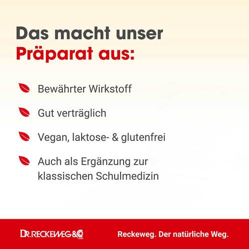 Scrophulae Gastreu R 17 Tropfen zum Einnehmen - 2