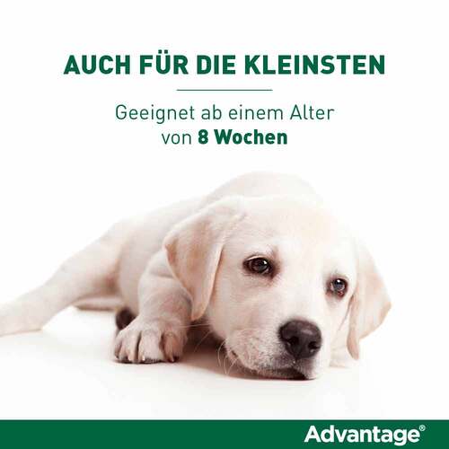 Advantage® f&uuml;r Hunde bis 4 kg - 4