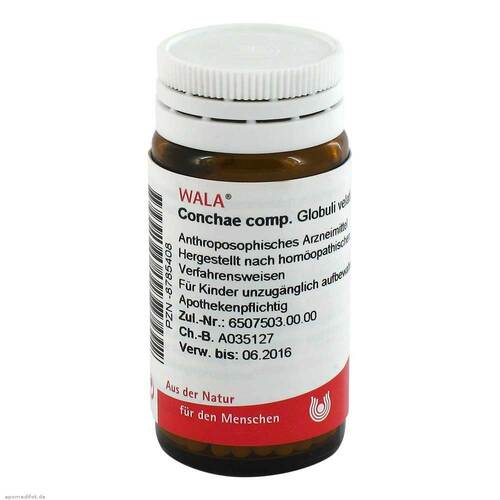 Conchae comp. Globuli - 1