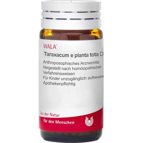 Taraxacum E D 6 G - 1