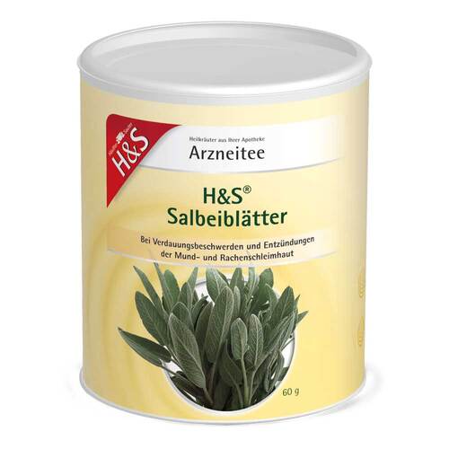 H&S Salbeibl&auml;tter loser Tee - 1