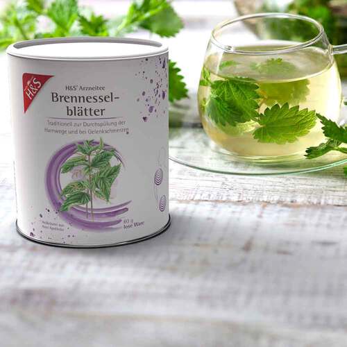 H&S Brennesselbl&auml;tter loser Tee - 2