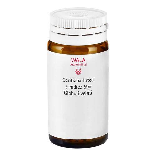 Gentiana lutea 5% Urtinktur Globuli velati - 1