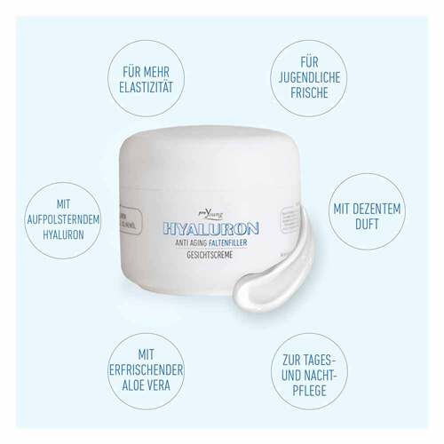 Proyoung Hyaluron Faltenfiller Creme - 2