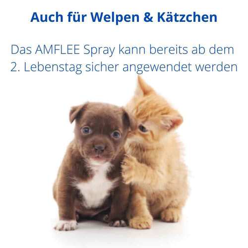 Amflee Spray f&uuml;r Katzen und Hunde - 3