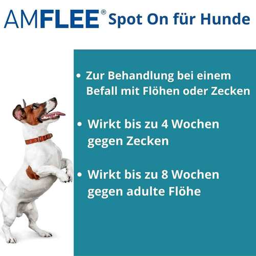 Amflee 134 mg Spot-On L&ouml;sung f&uuml;r mittelgro&szlig;e Hunde - 2