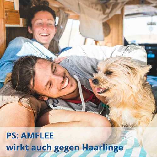 Amflee 268 mg Spot-On f&uuml;r gro&szlig;e Hunde - 3