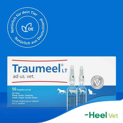 Traumeel LT Ampullen vet. (f&uuml;r Tiere) - 8