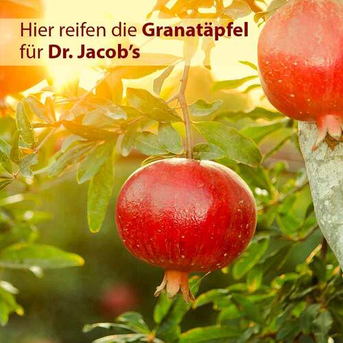 Granaforte Dr. Jacob`s fl&uuml;ssig - 2
