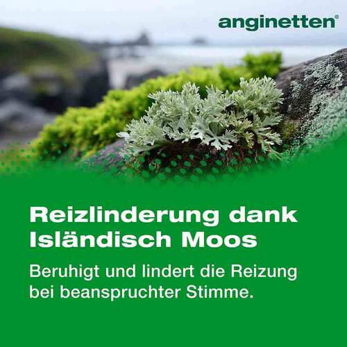 Anginetten Stimme Lutschtabletten - 4