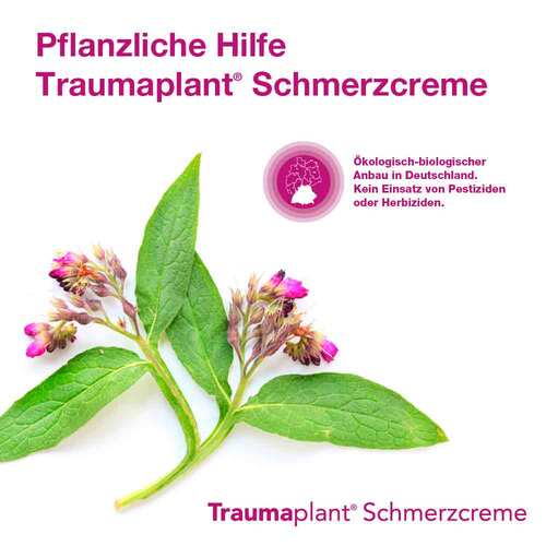 Traumaplant® Schmerzcreme - 5