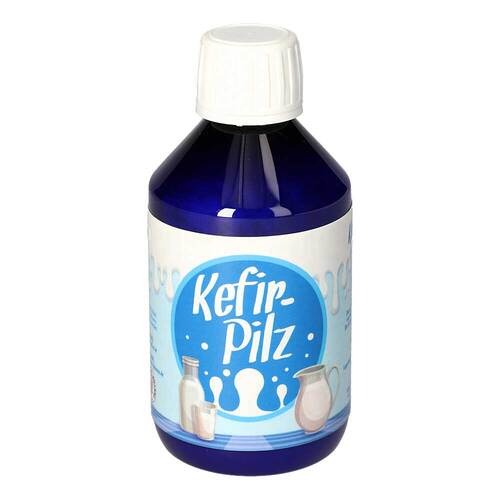 Kefir Pilz zur Bereitung aus Milch - 1