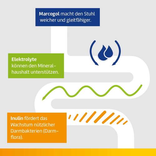 Laxatan M Granulat zur Herstellung einer Suspension zum Einnehmen  - 5