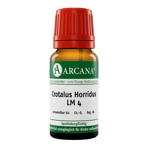 Crotalus Horridus LM 04 Dilution - 1